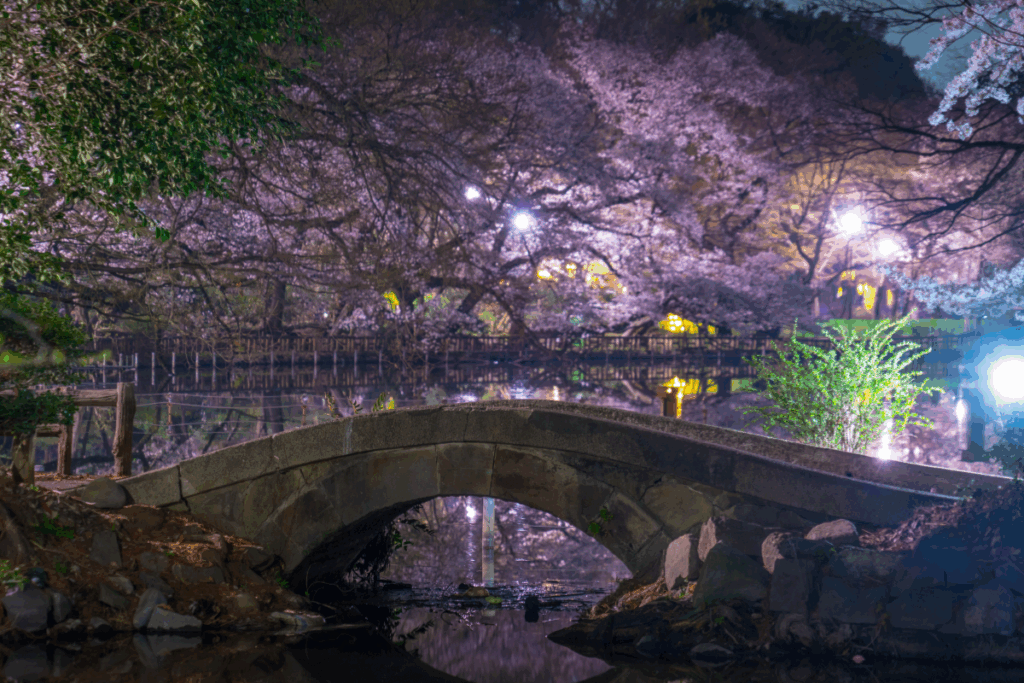 Inokashira Park: A Suburban Favorite with Local Charm
