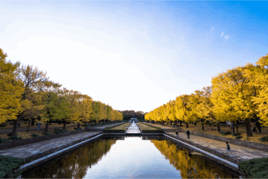 Showa Kinen Park: Seasonal Splendor for All Ages