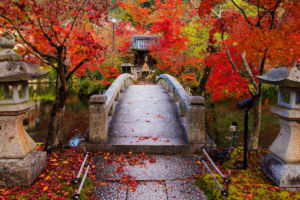 Eikando temple at autumn