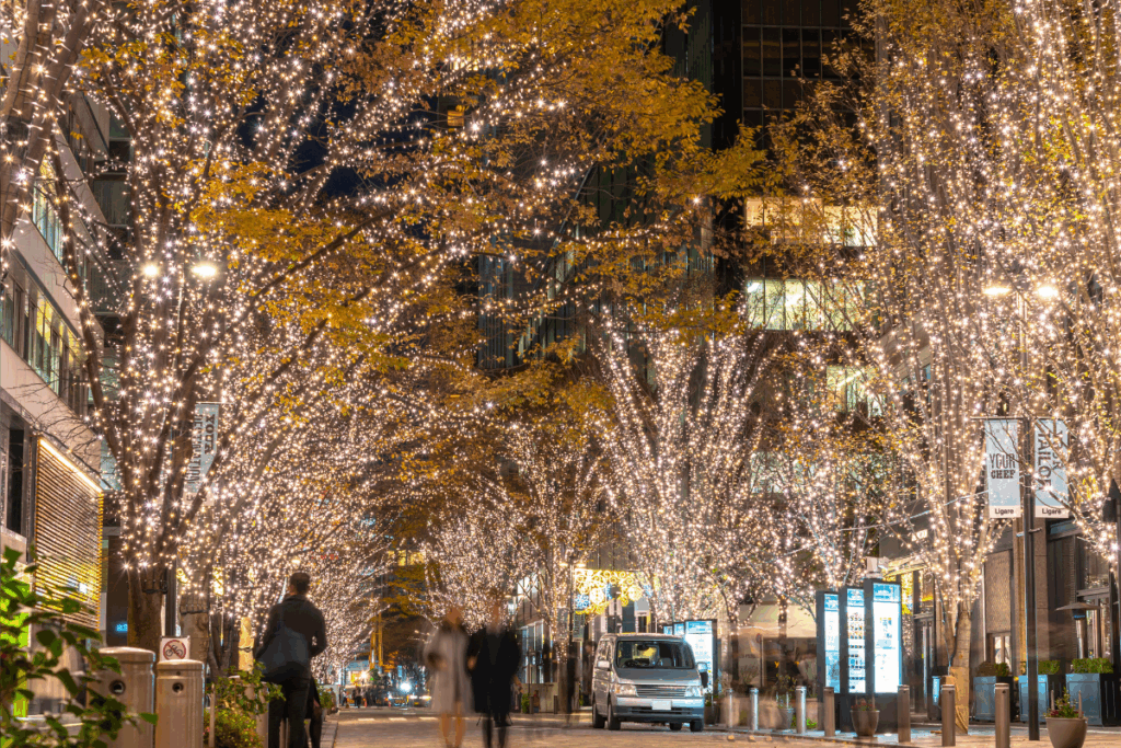 Marunouchi Tokyo Christmas Light Up