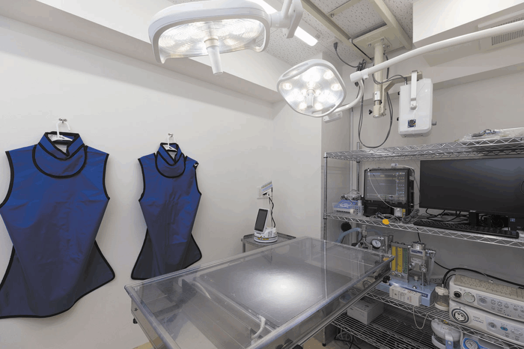 Pilina’s Vision for Compassionate Veterinary Care in Tokyo.