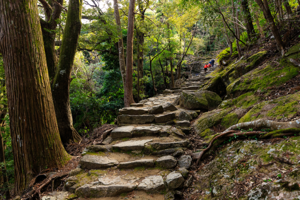 Best Hiking Spots in Japan: Nature Escapes