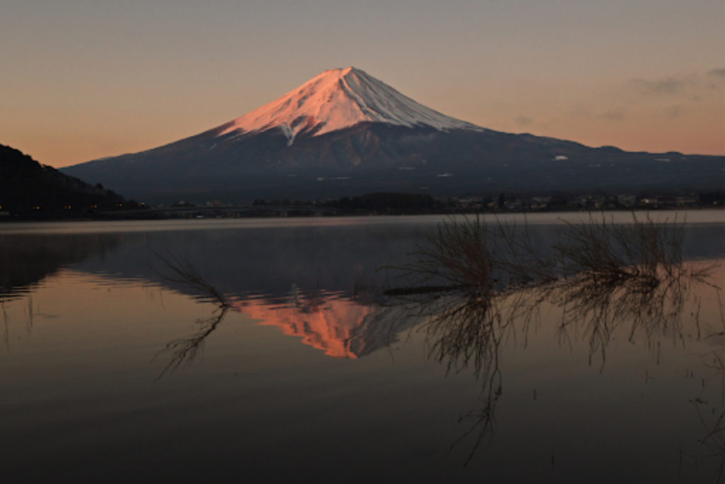 Fuji & Sun