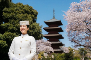 ​A Day in the Life of a Local: Cherry Blossoms in Japan_ The Peninsula Tokyo