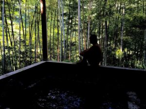 Healing and Wellness in Japan’s Hot Springs