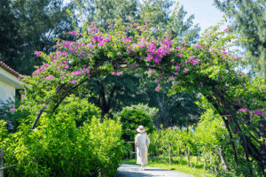 Fusaki Beach Resort: Where Luxury Meets Nature