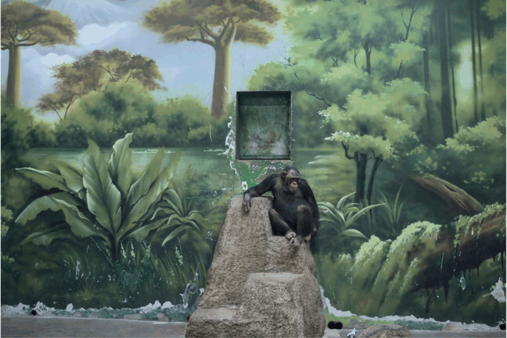 Photographer of the Year © Zed Nelson (UK), The Anthropocene Illusion