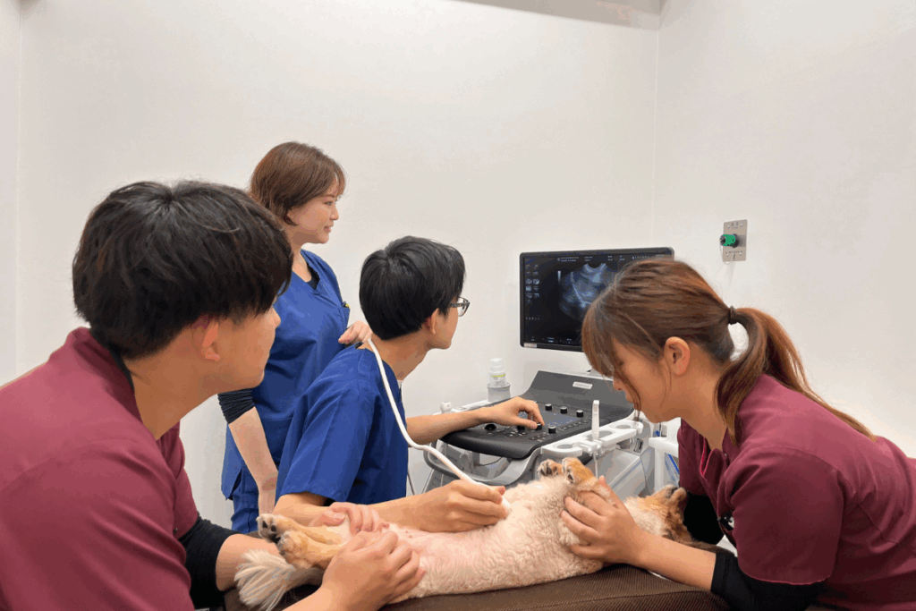 Cross Animal Medical Center Azabudai location