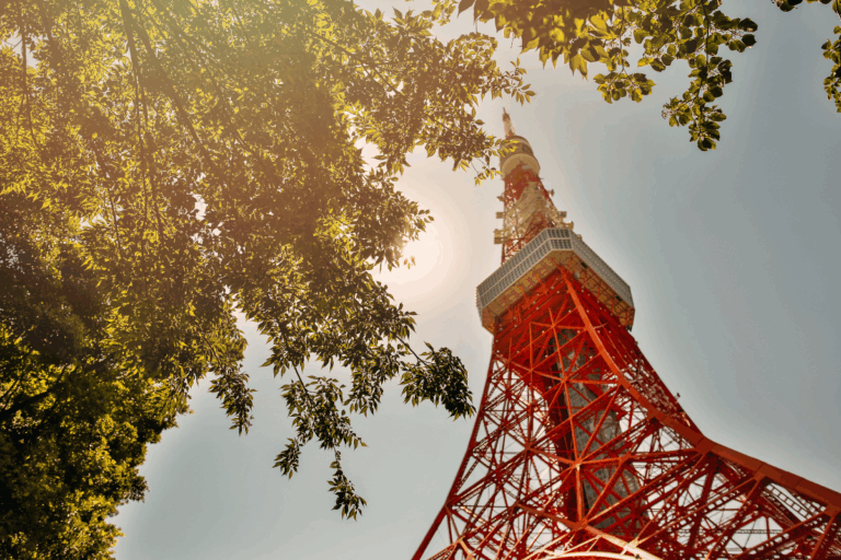 Tokyo Tower Climb: Move for Mental Health in Japan
