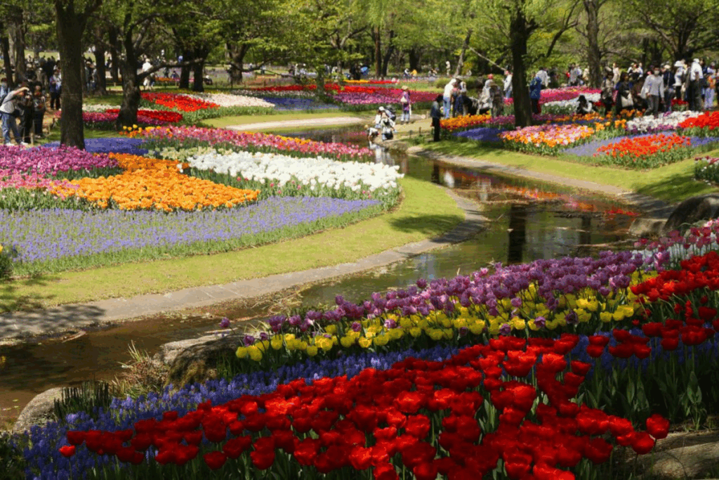 Showa Memorial Park: Tachikawa