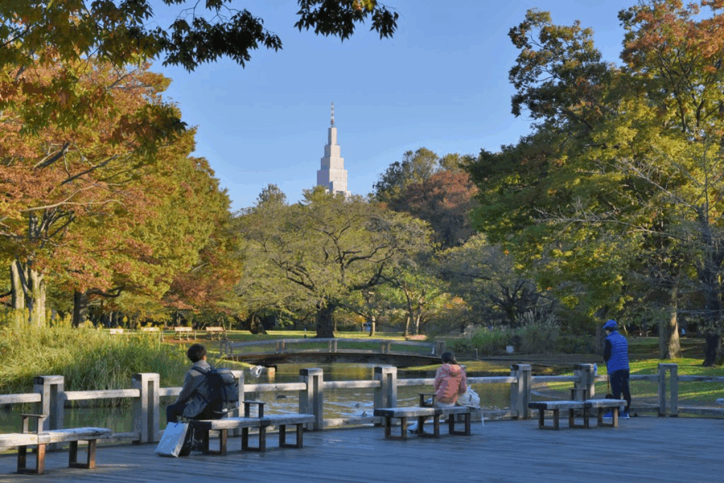 Active Mind: Exercise & Mindfulness