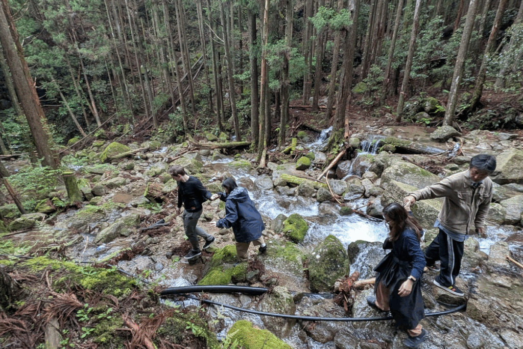 The Forest Hike And Natural Water Resources