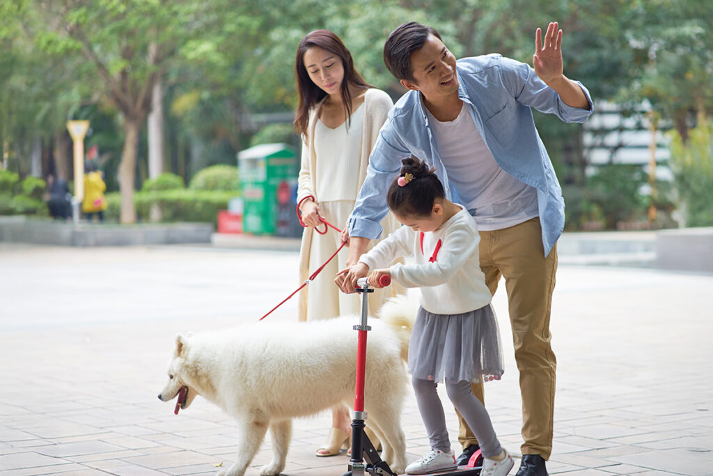 Dogs in Japan