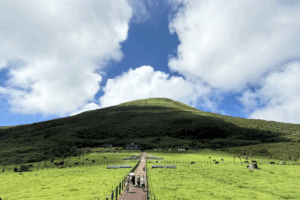 Hachijojima: The Japanese Hawaii Just an Hour from Tokyo