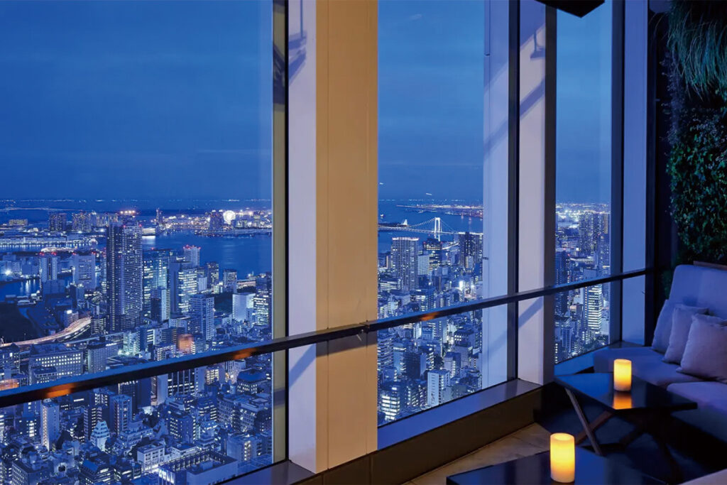 Scenic Views of Tokyo Bay and Tokyo Tower