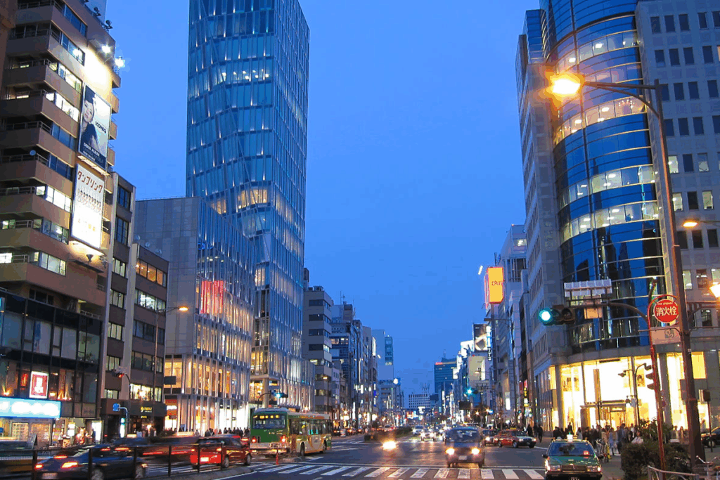 Cityscape showcasing Tokyo’s expat-friendly neighborhoods like Minato, Shibuya, and Setagaya—known for their mix of international amenities and luxury living