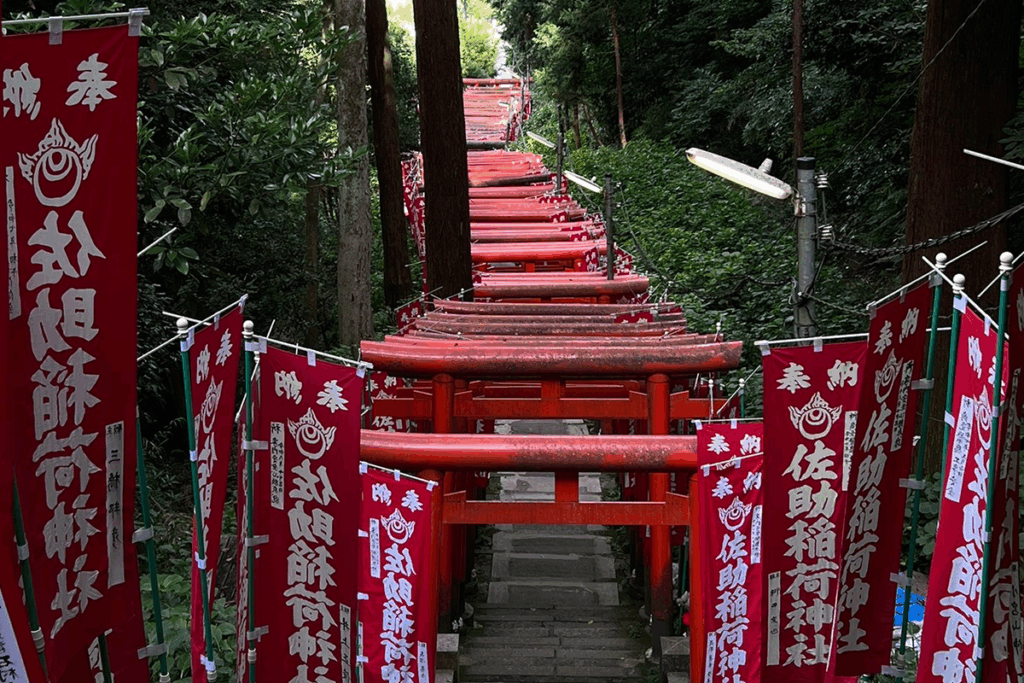 A pathway followed by lines of famous torii gates that have protected the shrine for years