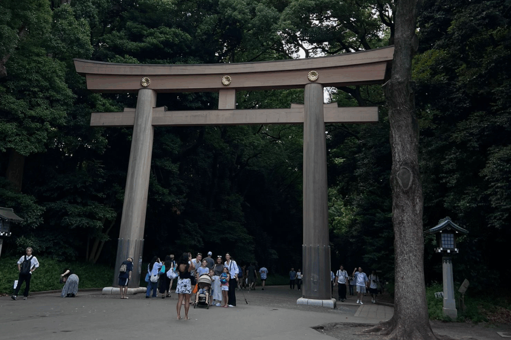 Meiji Jingu Shrine's main torii gate at the entrance, one of the biggest torii gate's in all of Japan that lead you through the shrines forest