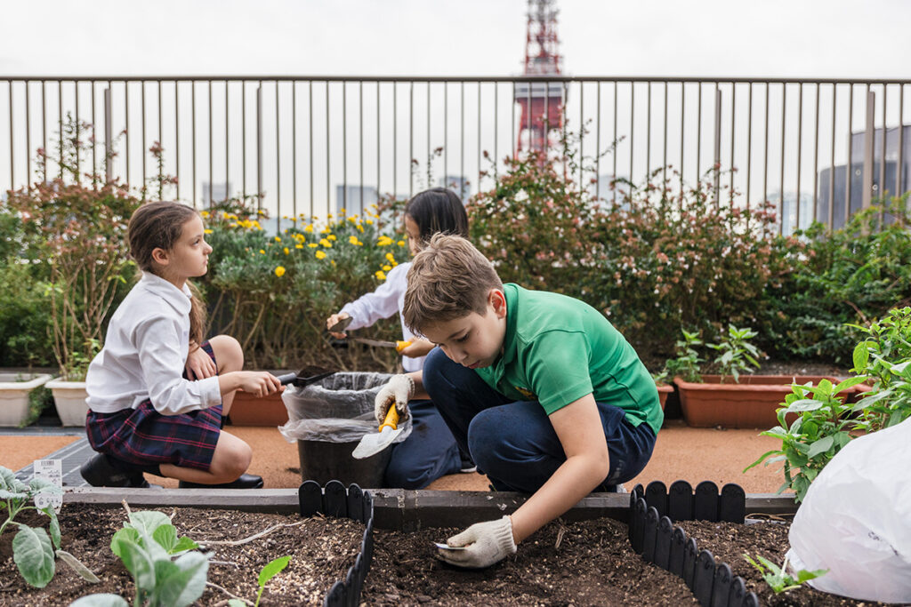 The British School in Tokyo urban farming is one example of International Schools are emphasizing creativity and collaboration.