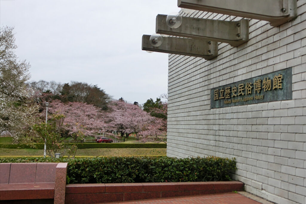 Rekihaku, National Museum of Japanese History in Spring with Sakura trees blooming.