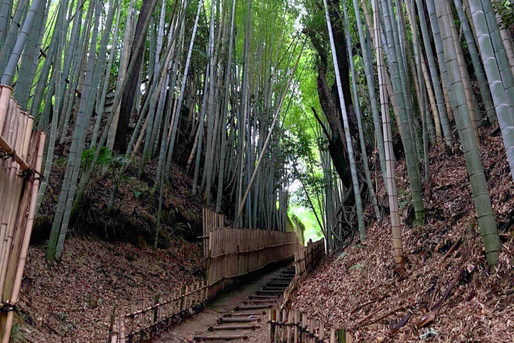 Old samurai path in Sakura City.