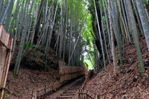 Old samurai path in Sakura City.