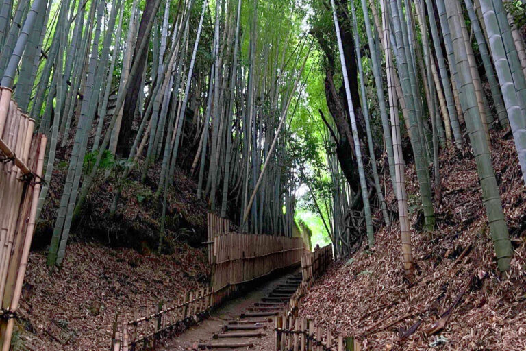 Old samurai path in Sakura City.