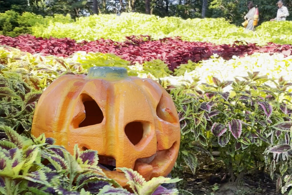 Shinrinkoen Saitama Park during Halloween