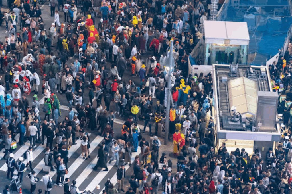 Shibuya Showcases Toilets