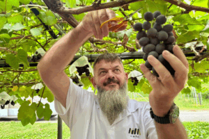 Sendai: A Cultural, Natural and Culinary Adventure