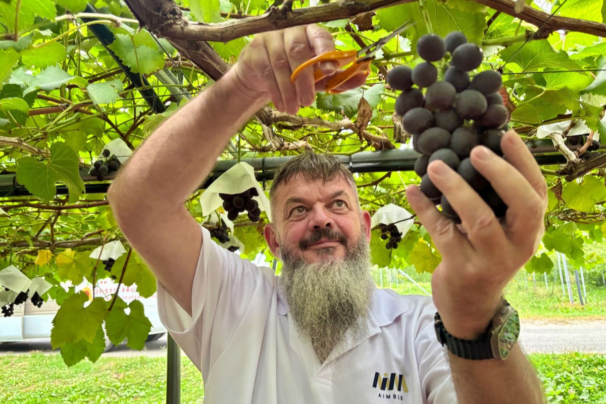 Sendai: A Cultural, Natural and Culinary Adventure