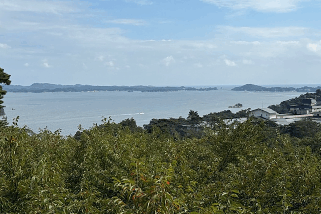 Natural Beauty: Saigyo Modoshi no Matsu Park