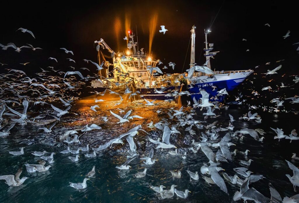 (c) Audun Rikardsen and courtesy Wildlife Photographer of the Year
