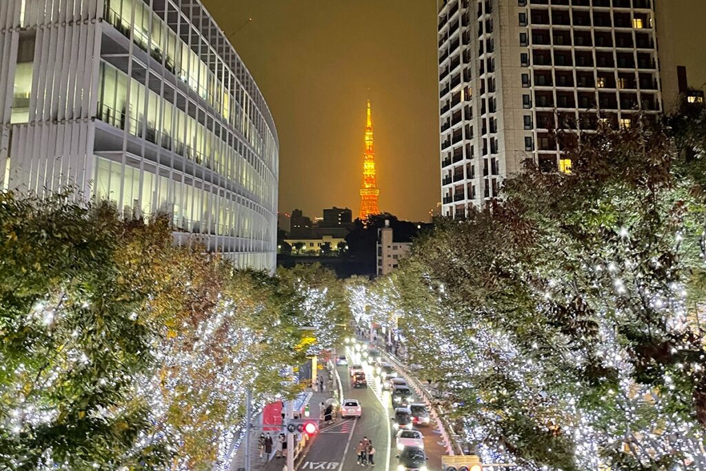 The Keyakizaka Illumination "Snow & Blue"