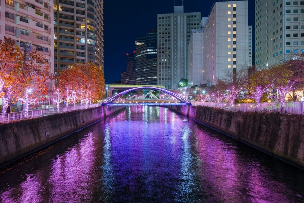 The Meguro-gawa Minna no Illumination