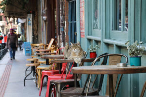 Outdoor café seating in Japan symbolizing the concept of finding an ibasho or third place.