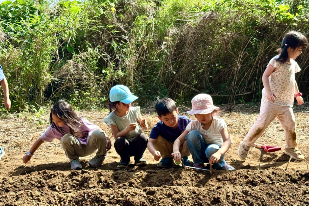 MEES International School, Forest Chiba