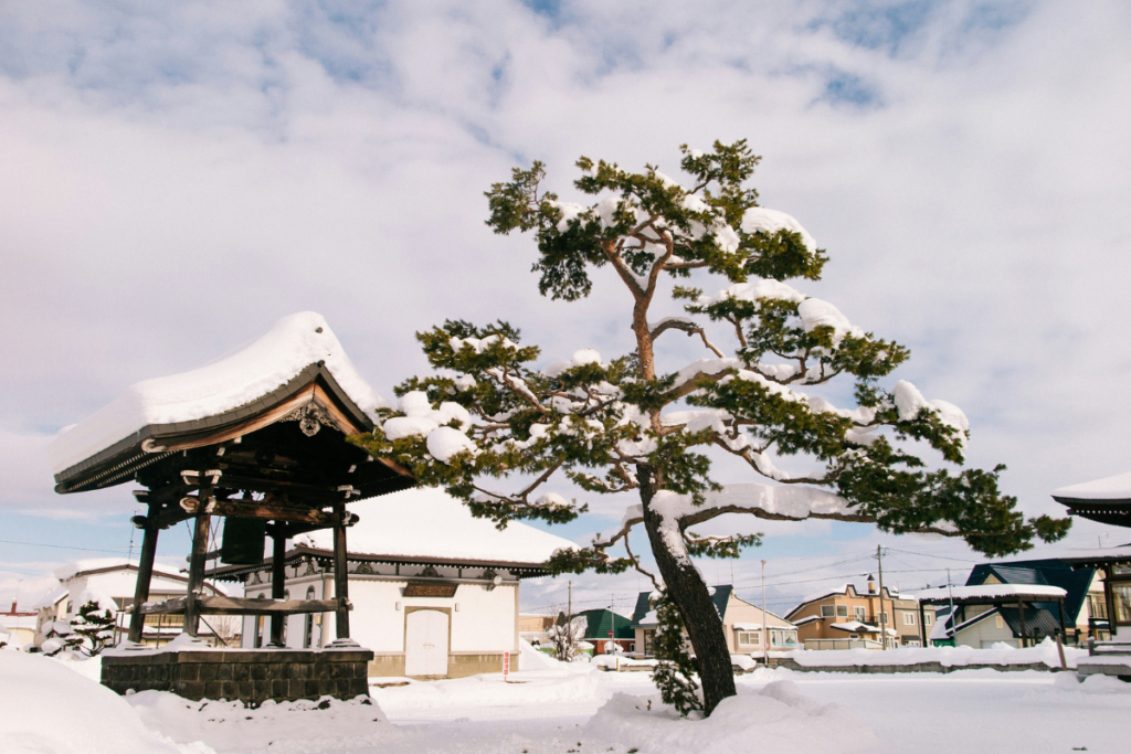 Most Beautiful Winter Destinations in Japan