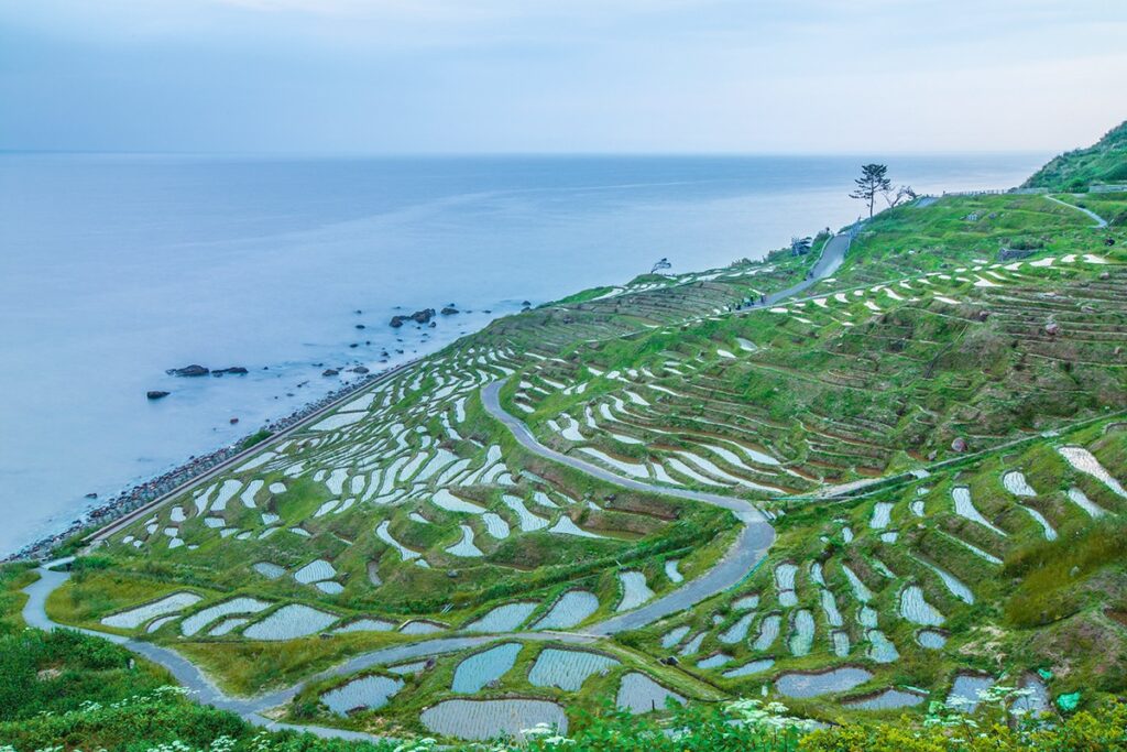 Shiroyone Senmaida in Ishikawa Prefecture, Japan