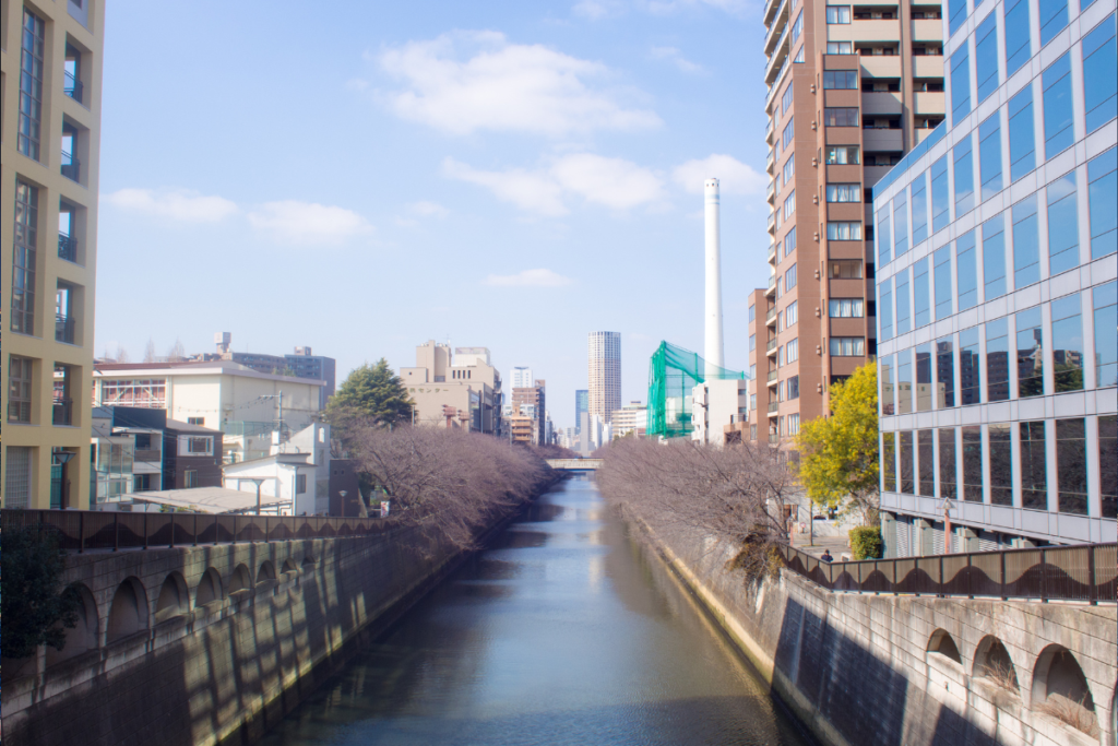 Best Neighborhoods for Expat Families in Tokyo and Yokohama