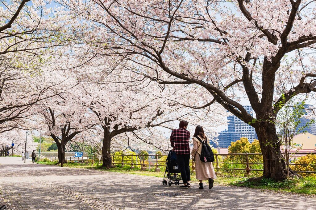 From Nebraska to Tokyo - Family Life in Japan
