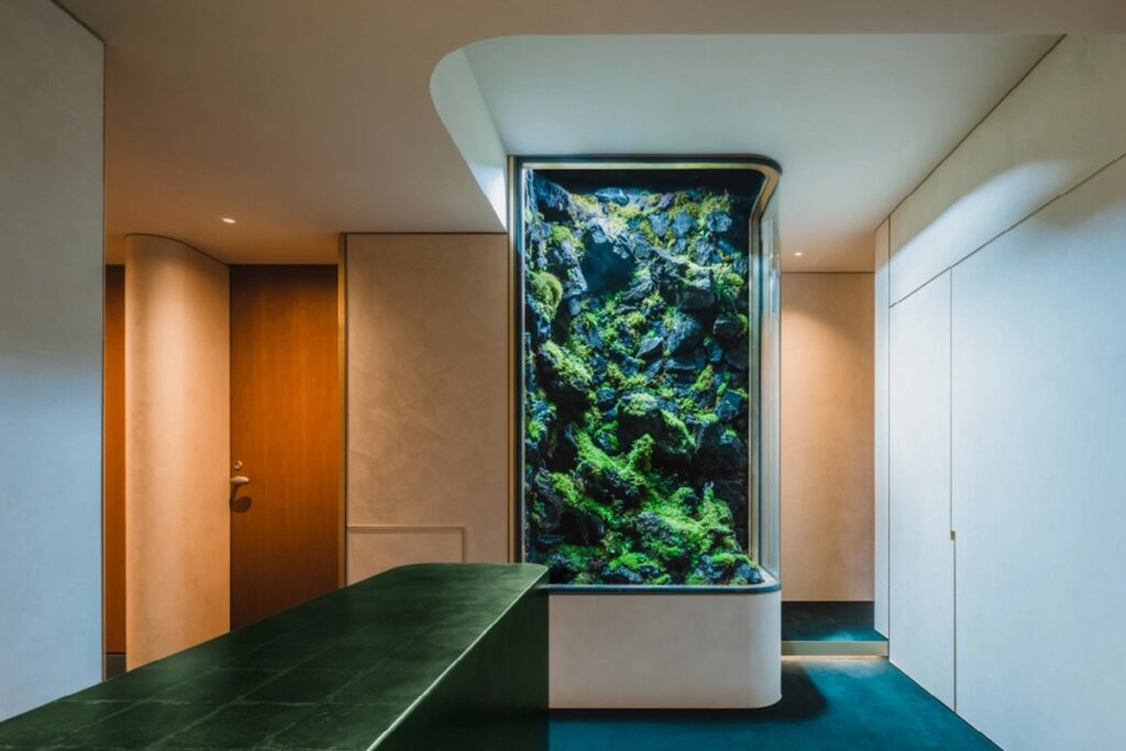Klare's paludarium, a terrarium-aquarium hybrid that serves as the visual centerpiece of the salon