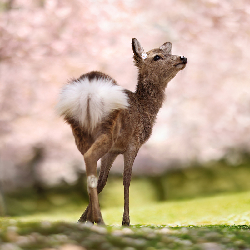 Private tours - unique experiences