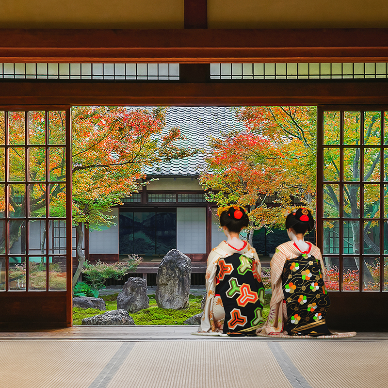 Japanese Geisha at Look at a Japanese Garden in Colorful Autumn at Kenninji Temple in Kyoto