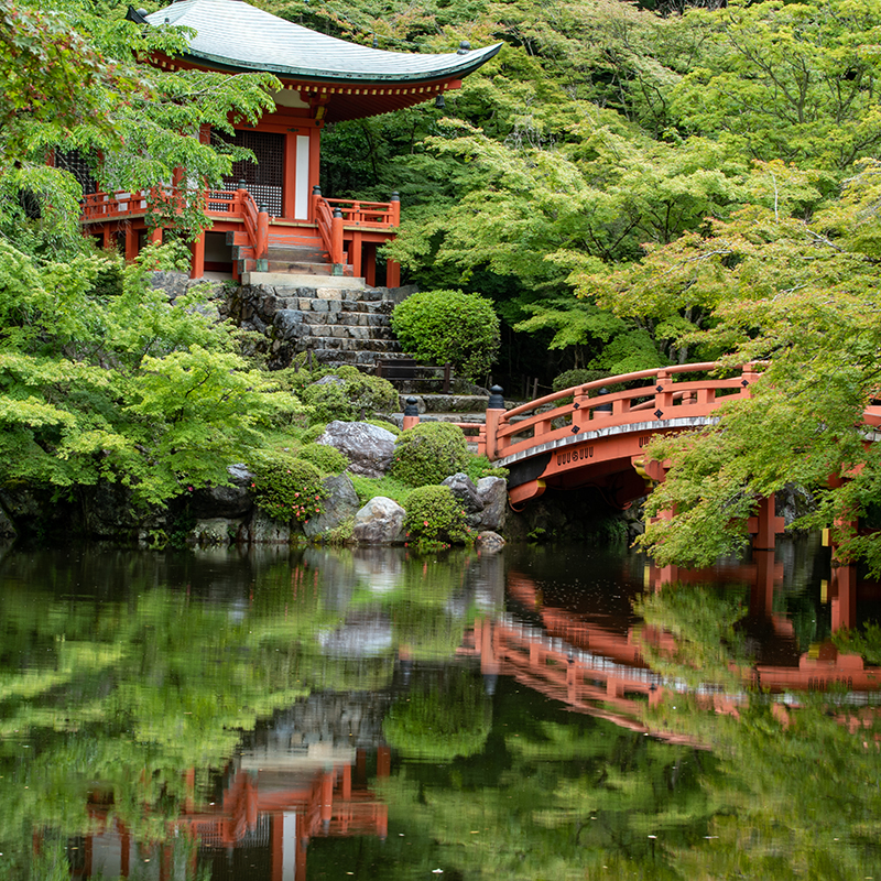 Gold-Guide traditional