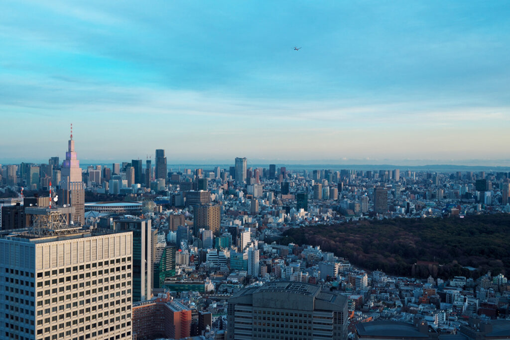 Tokyo Skyline from Shinjuku 