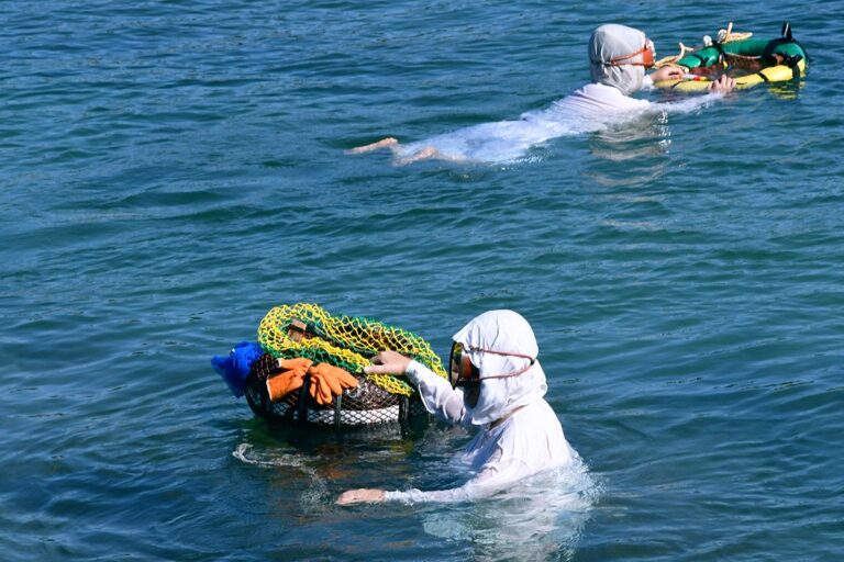 Shima and Ama Divers