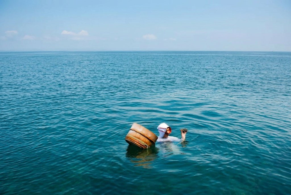 Japanese Ama divers collecting seafood along the Shima coastline