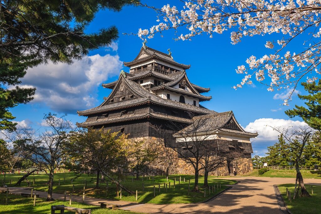 Matsue Castle with cherry blossoms