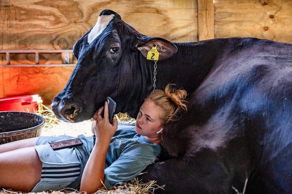 women leaning on a cow laying down